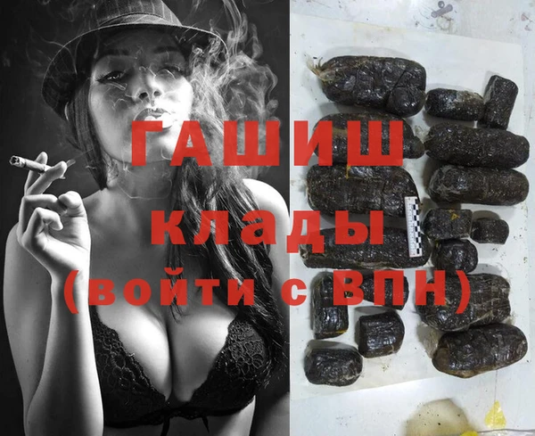 скорость Ладушкин