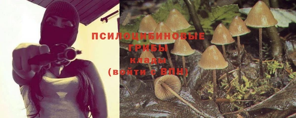 ГАЛЛЮЦИНОГЕННЫЕ ГРИБЫ Лабытнанги