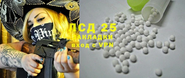 ГАЛЛЮЦИНОГЕННЫЕ ГРИБЫ Лабытнанги