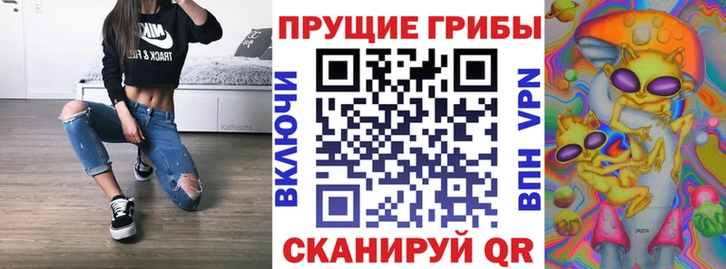 Псилоцибиновые грибы Magic Shrooms  дарк нет какой сайт  Каргат  купить наркоту 
